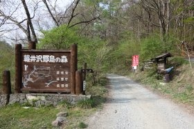 長倉山併用林道