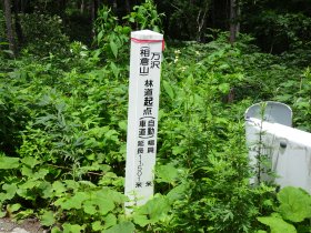 「万沢林道」起点の道標