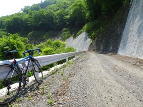 林道「上野大滝線」の様子
