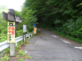 旧道入口（細尾峠方面へ）