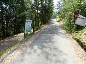 霊心寺林道と谷山林道の境界