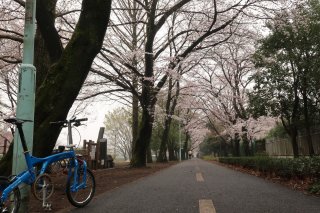 多摩湖サイクリングロード