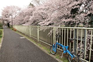 神田川